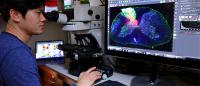 Man using microscope and computer imaging to conduct research
